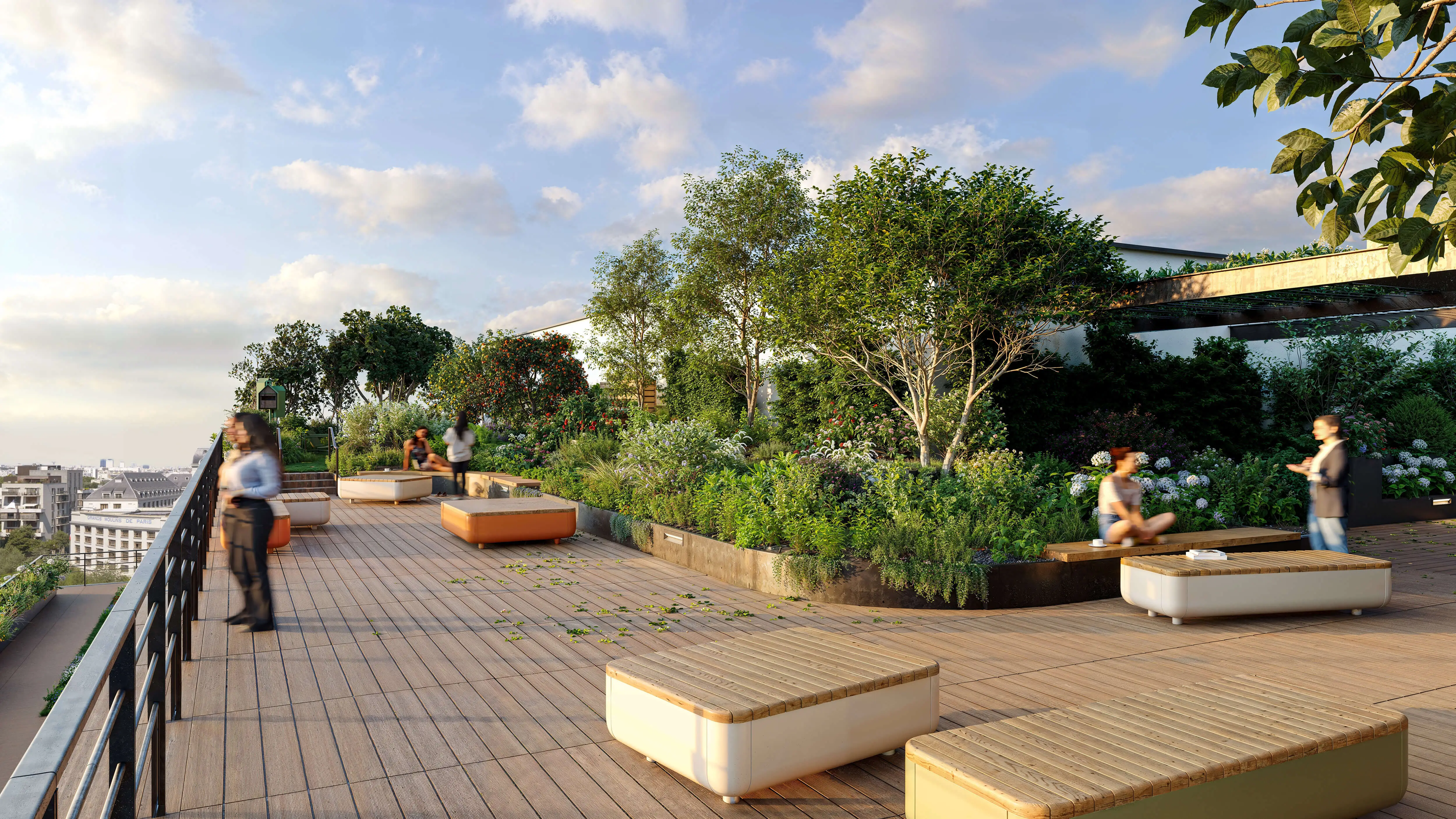 Rooftop vers Zone Potager
